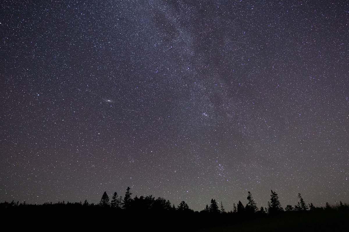 grey silhouette photography of trees under sky maine